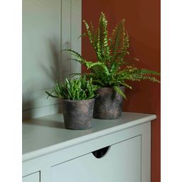 Garden Trading Radstock Plant Pot, Antique Brown - Small