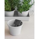 Garden Trading Set of 3 Pots with Tray - 1 Set