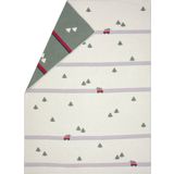 David Fussenegger Sylt "Car with Tree" Flannel Throw