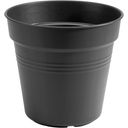 Pot de Culture GREEN BASICS - Living Noir - Ø 11 cm