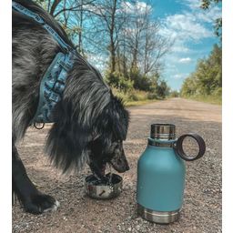 asobu DOG BOWL Insulated Bottle - Blue