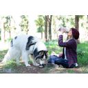 asobu DOG BOWL Insulated Bottle - Pink