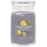 Signature Jar Black Tea & Lemon Scented Candle