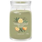 Signature Jar Sage & Citrus Scented Candle