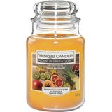 Exotic Fruits Home Inspiration Candle in a Jar 