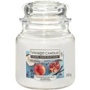 Pomegranate Coconut Home Inspiration Candle in a Jar, Medium