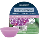 Yankee Candle Wild Orchid Wax Melt  - 1 Pc