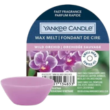 Yankee Candle Wild Orchid Wax Melt 