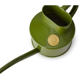 Indoor Metall Gießkanne 