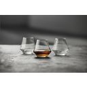 Lyngby Glas Bicchiere da Rum Juvel 29 cl - 6 Pezzi - 1 set