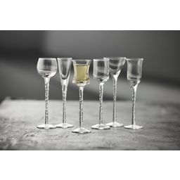 Lyngby Schnappsglas Rom 18 cm 6 Stück Klar - 1 Set