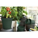 elho green basics grow pot - nero