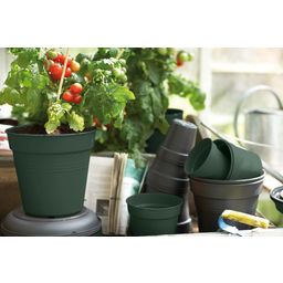 elho green basics grow pot - nero