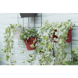 elho Green Wall Duo LOFT URBAN - 28 cm