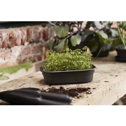 elho green basics grow tray, S