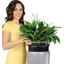 Lechuza RONDO Premium 32 Planter