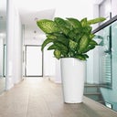Lechuza RONDO Premium 40 Planter - White high gloss