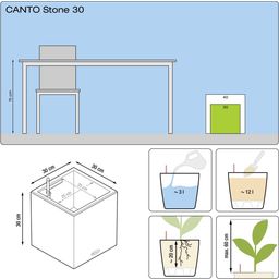 Lechuza Självbevattningskruka CANTO Stone Low 30
