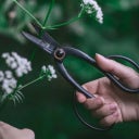 Barebones Pruning Shears