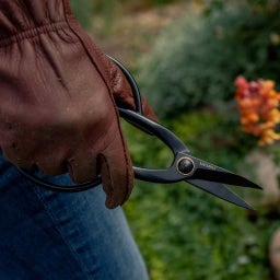 Barebones Pruning Shears