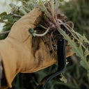 Barebones Weeding Fork