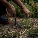 Barebones Weeding Fork