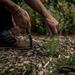 Barebones Weeding Fork