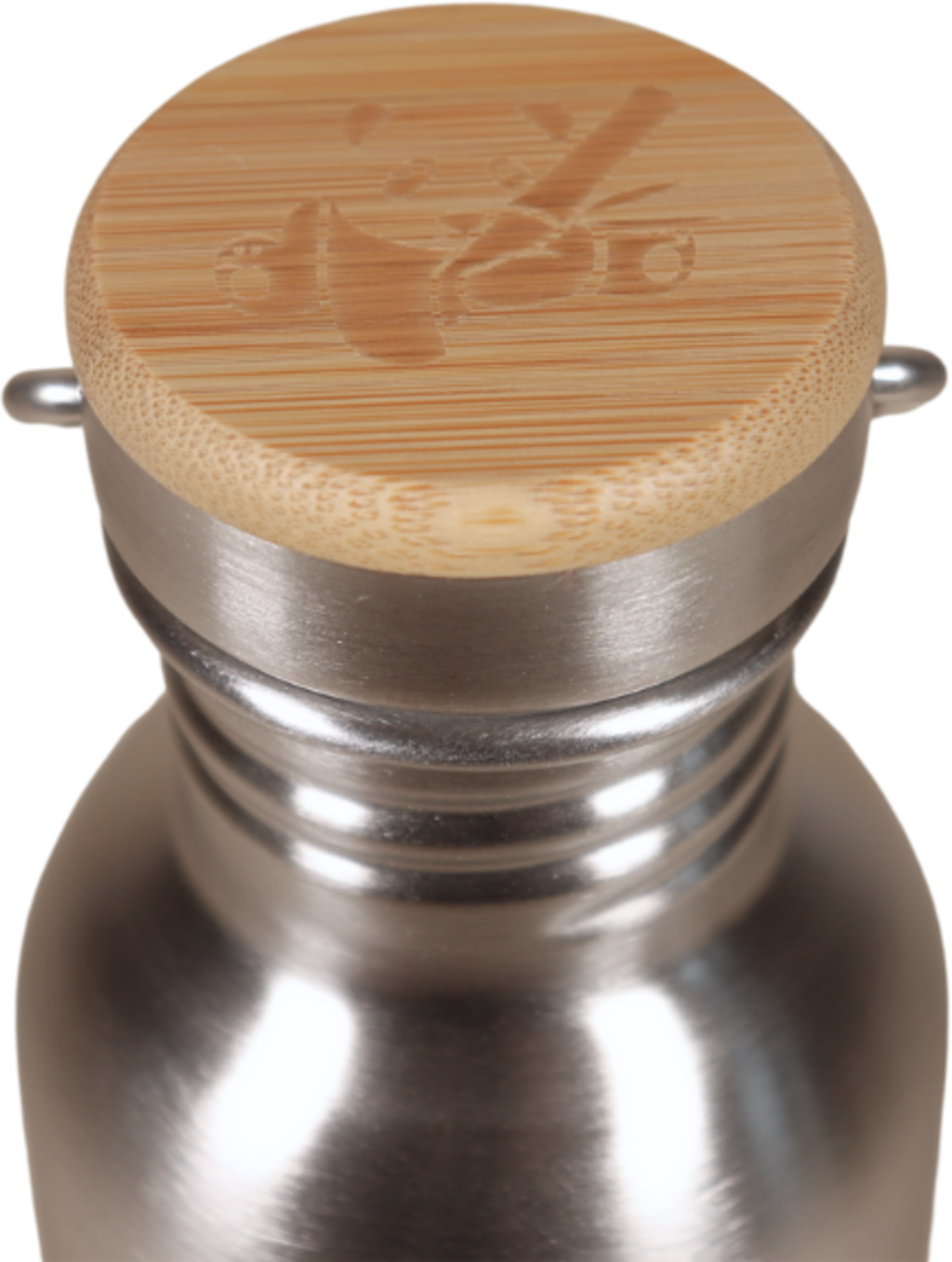 Pandoo Trinkflasche isoliert - 350 ml
