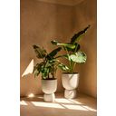 elho amber coupe Planter 35 cm - linen white