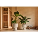 elho amber coupe round Planter 41 cm - balanced beige