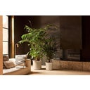 elho june tulip, 40 cm - Beige