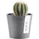 Ecopots Amsterdam Topf - grau - Ø 8 cm, Höhe 7 cm