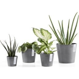 Ecopots Amsterdam - Grey  - Ø 8 cm, height 7 cm