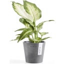 Ecopots Amsterdam Blomkruka - grå - Ø 10,5 cm, höjd 9,2 cm