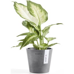 Ecopots Amsterdam Blomkruka - grå - Ø 10,5 cm, höjd 9,2 cm