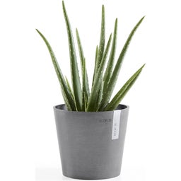 Ecopots Amsterdam - Grey  - Ø 17 cm, height 15 cm
