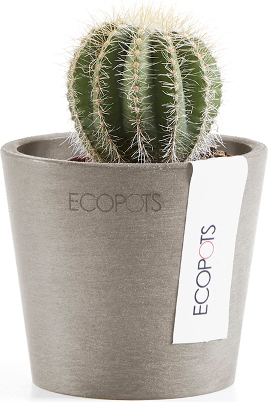 Ecopots Amsterdam Topf - taupe - Ø 8 cm, Höhe 7 cm