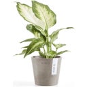Ecopots Amsterdam - Taupe - Ø 10.5 cm, height 9.2 cm