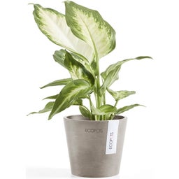 Ecopots Amsterdam - Taupe - Ø 10.5 cm, height 9.2 cm