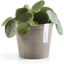 Ecopots Amsterdam - Taupe - Ø 13 cm, height 11.4 cm