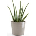 Ecopots Amsterdam Topf - taupe - Ø 17 cm, Höhe 15 cm