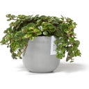 Ecopots Oslo Mini - White Grey  - Ø 11.5 cm, height 10 cm