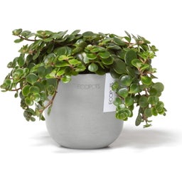 Ecopots Oslo Mini - White Grey  - Ø 11.5 cm, height 10 cm