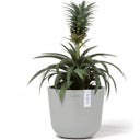 Ecopots Oslo Mini Topf weißgrau - Ø 16 cm, Höhe 13 cm