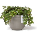 Ecopots Oslo Mini - Taupe - Ø 11.5 cm, height 10 cm