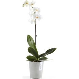 Ecopots Morinda - White Grey  - Ø 13 cm, height 16 cm