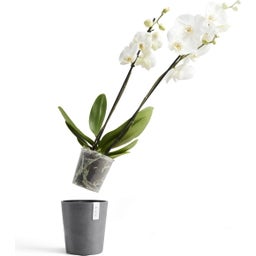 Ecopots Morinda - White Grey  - Ø 13 cm, height 16 cm