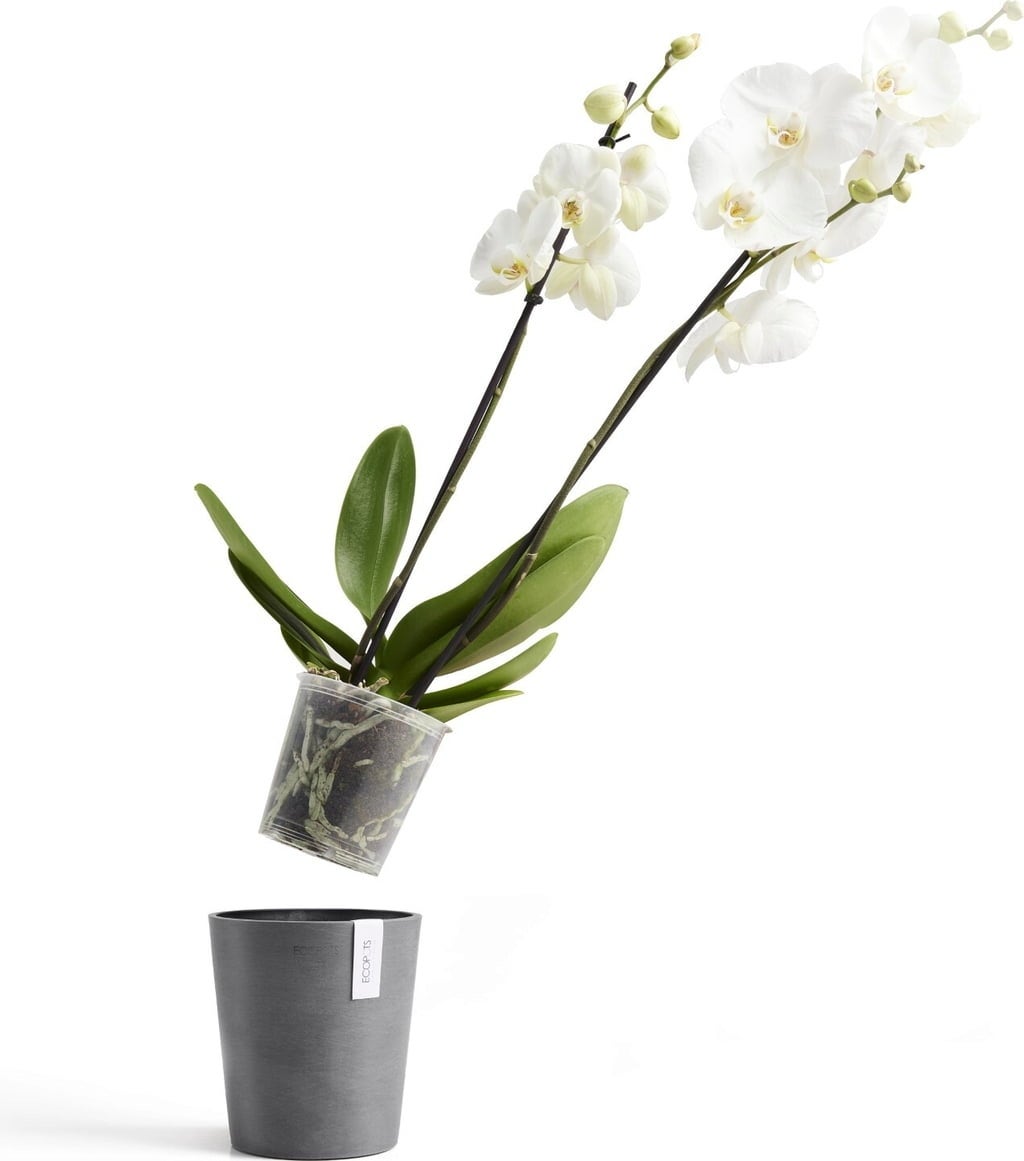 Ecopots Morinda - Grey  - Ø 11 cm, height 12.5 cm