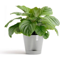 Ecopots Venice 2 White Grey  - Ø 20 cm, height 17.5 cm