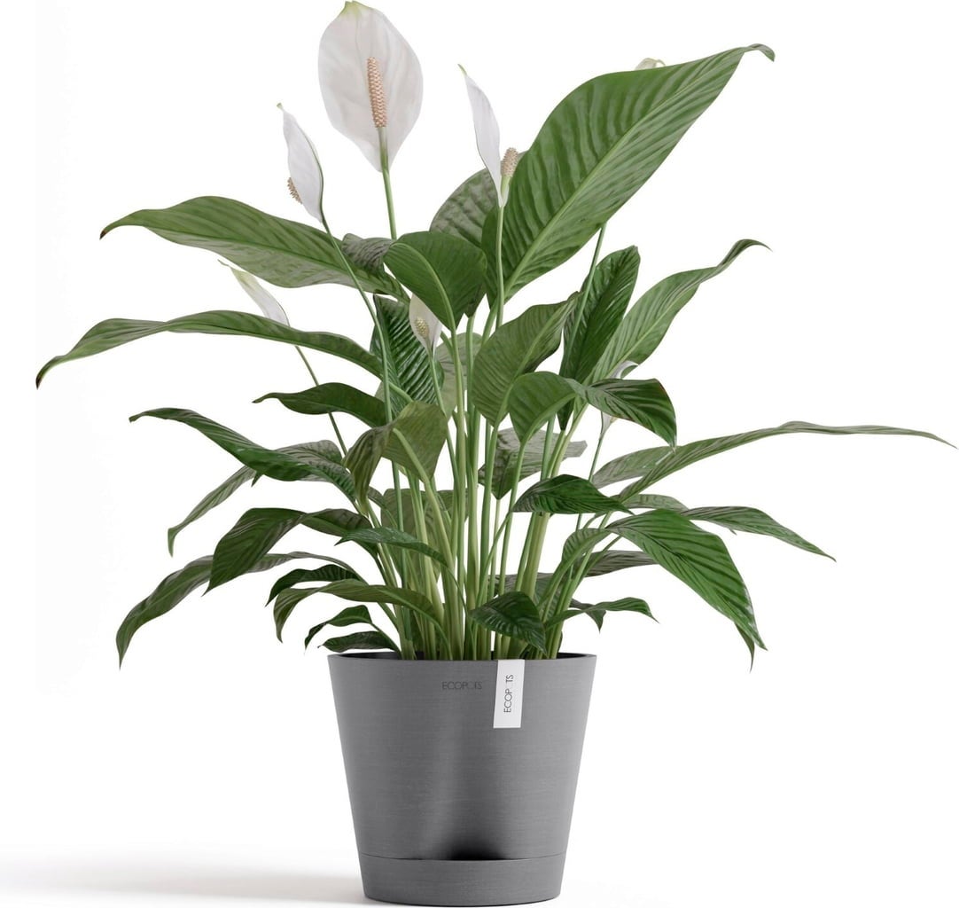 Ecopots Venice 2 - Grey  - Ø 20 cm, height 17.5 cm